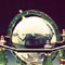 the globe